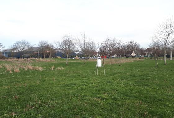 Campagne Blainville-sur-Orne - Photo de jauge