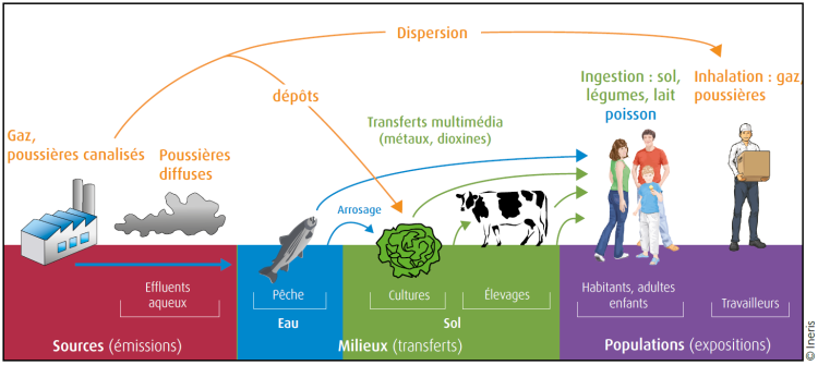 Schéma des principales voies d’exposition aux retombées atmosphériques – Source : INERIS