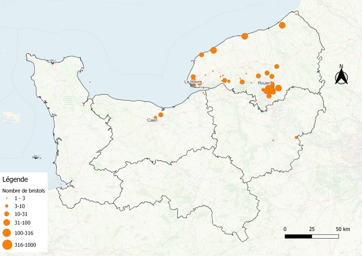 Cartographie de la provenance des bristols collectés lors de "La Minute internationale des odeurs" en 2024 à l'échelle de la Normandie - Copyright : Atmo Normandie